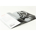 Ášvi – Artbook