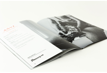 Ášvi – Artbook